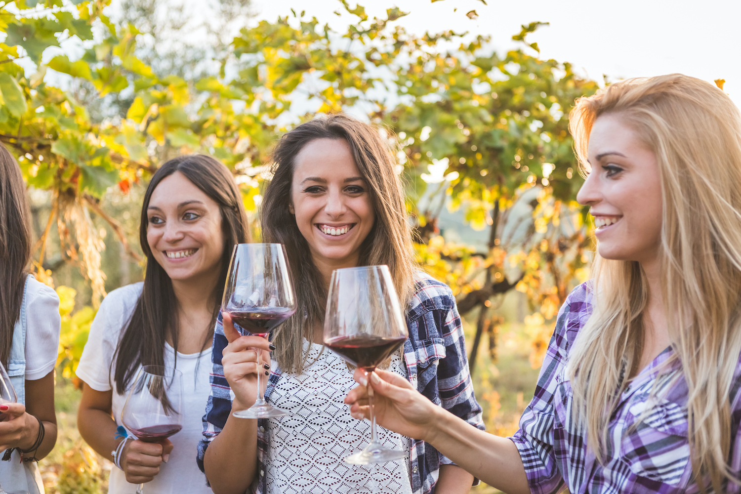 girl wine tours